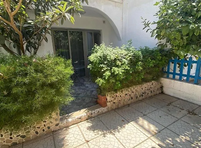 With Oleg C17 Apartament